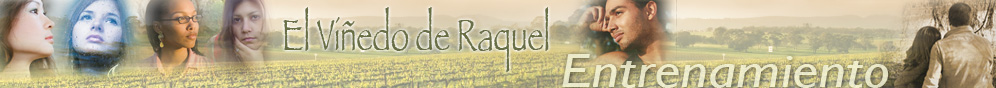 Rachel's Vineyard - Resourcesn